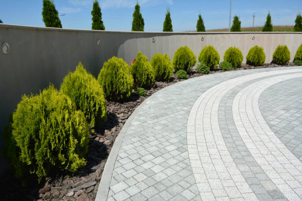 Best Driveway Pavers Installation  in Buhl, MN